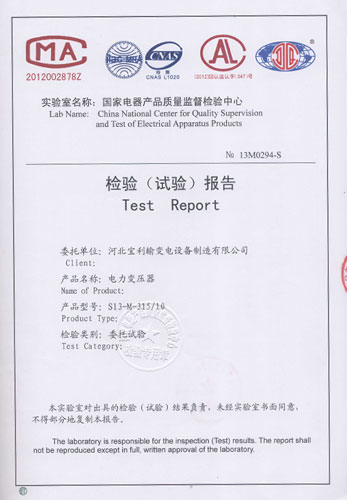 10检验报告S13-315