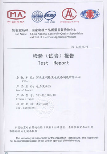 9检验报告S13-1000