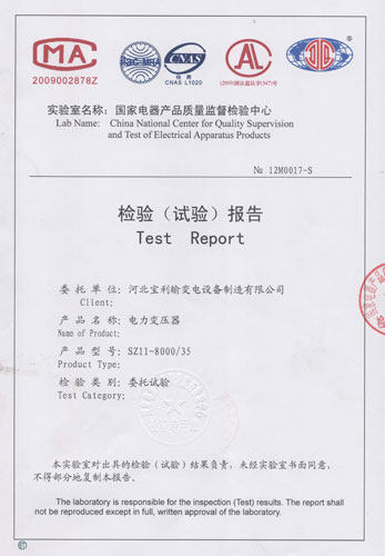 4检验报告SZ11-8000
