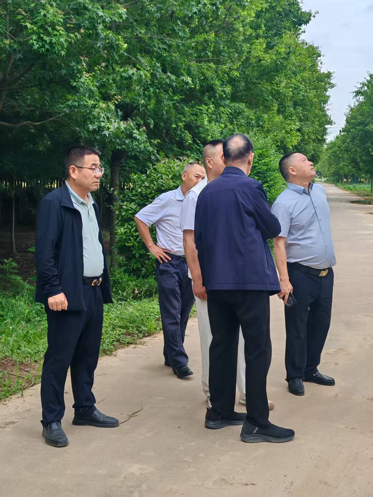示范基地-1