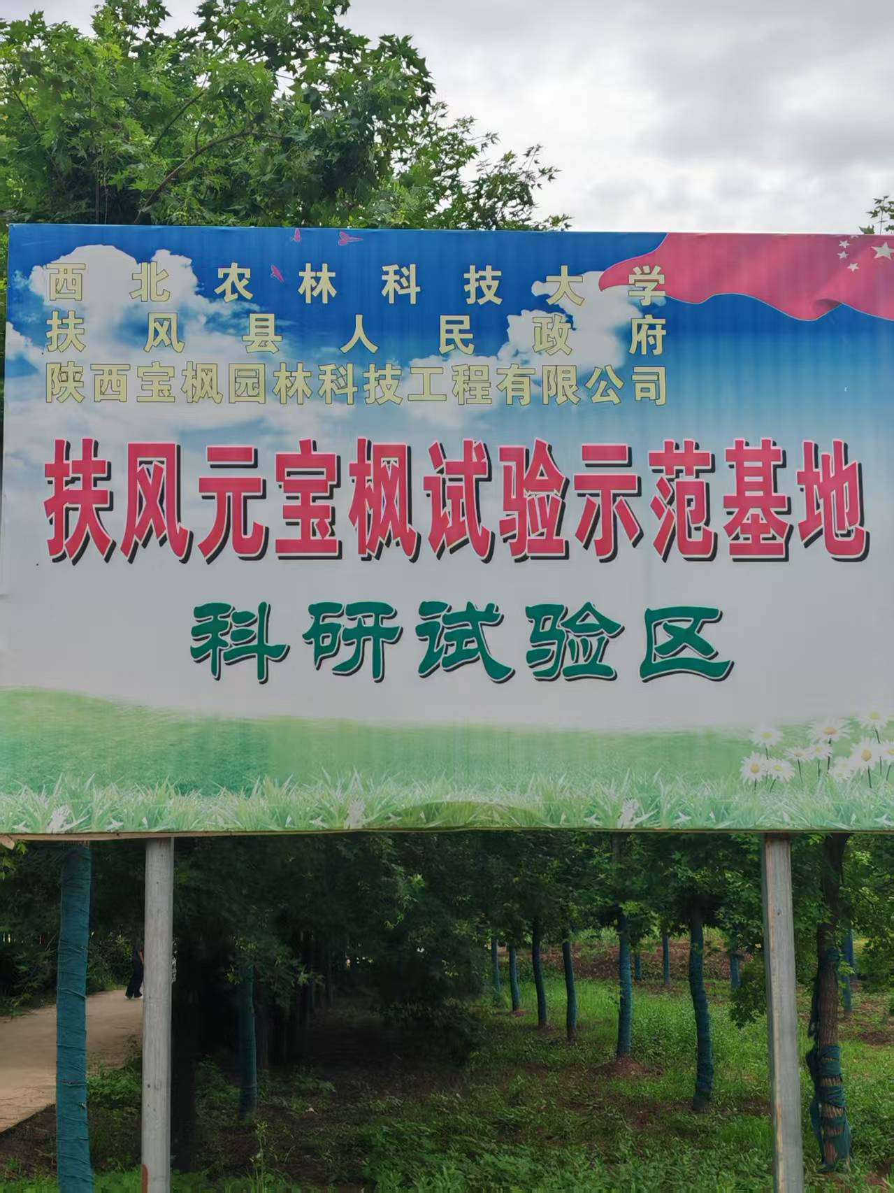 示范基地