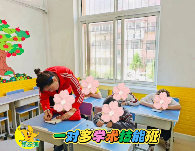 一对多学术技能