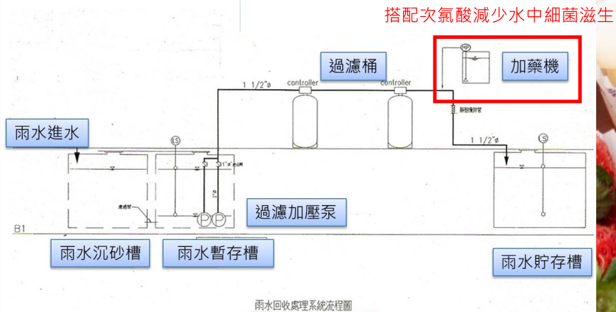 Rainwater recycling system