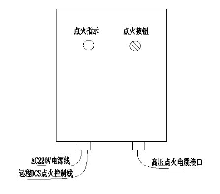 点火器 (1)