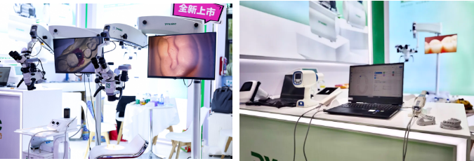 企业微信截图_17770163226329