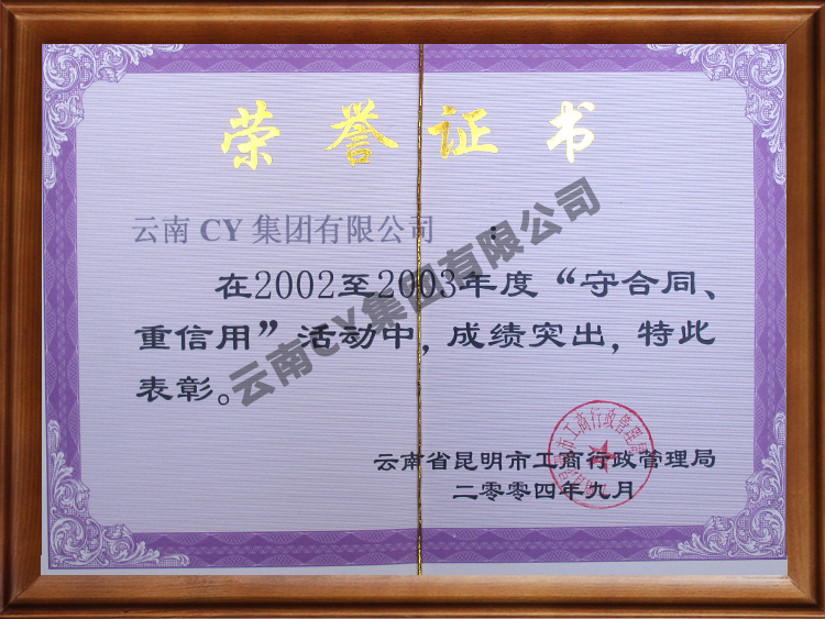 资质荣誉证书 (6)