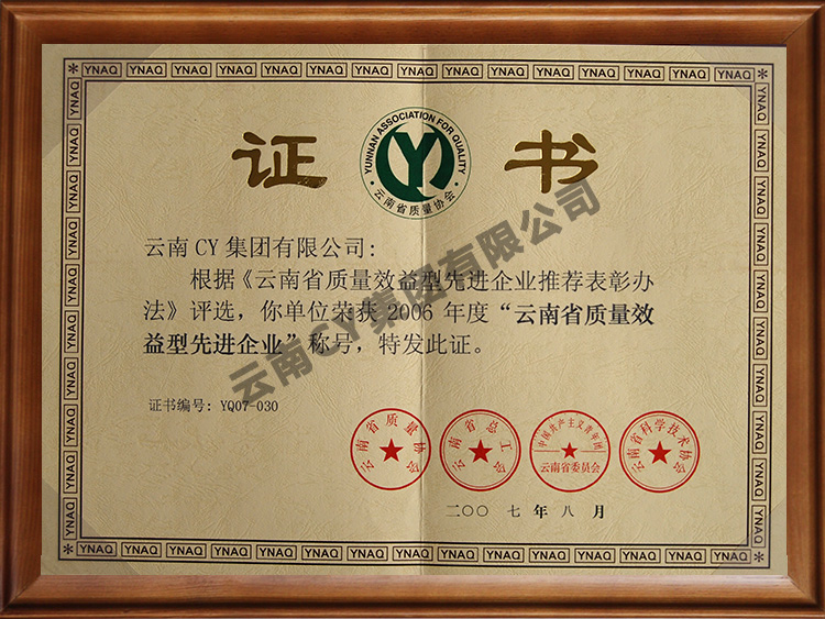 资质荣誉证书 (2)