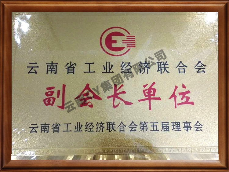 云南省工业经济联合会副会长单位-云南省工业经济联合会第五届理事会