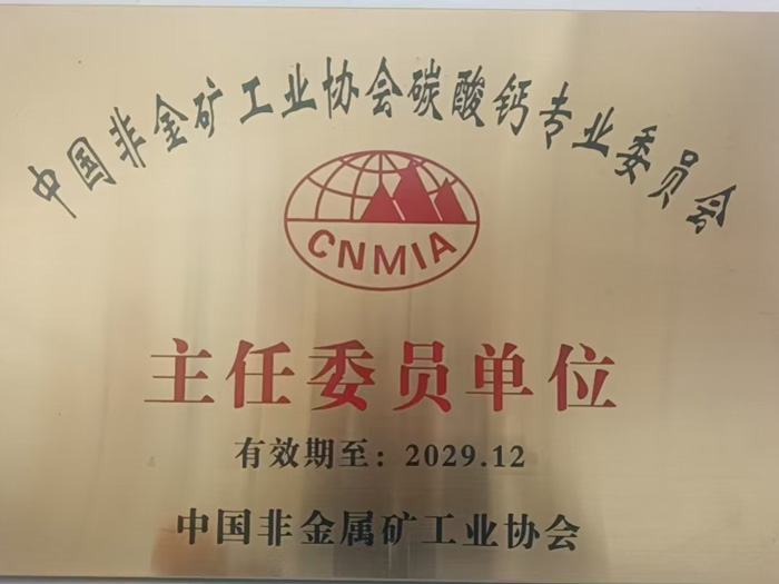 中国非金矿工业协会碳酸钙专业委员会s