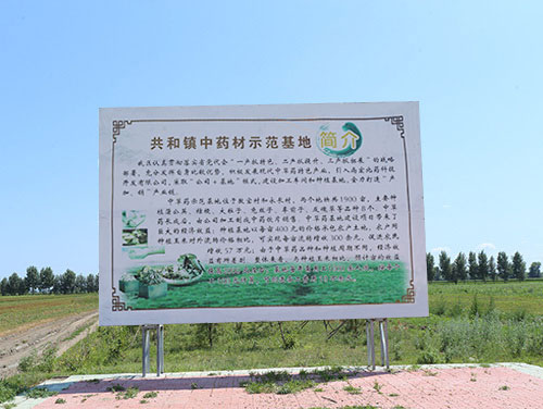 共和镇中药材示范基地