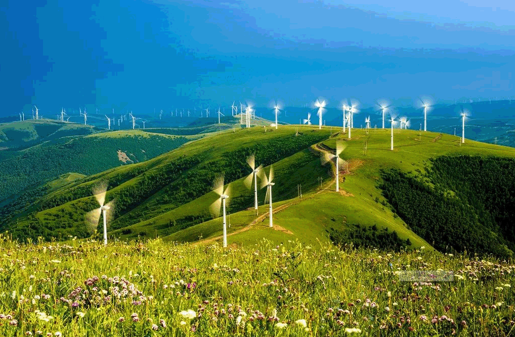 炫美草原—浩瀚玉龙沙湖、灯笼河草原、乌兰布统（坝上）草原二日游