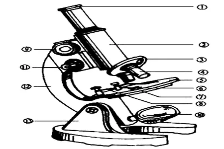 广州工业显微镜生产