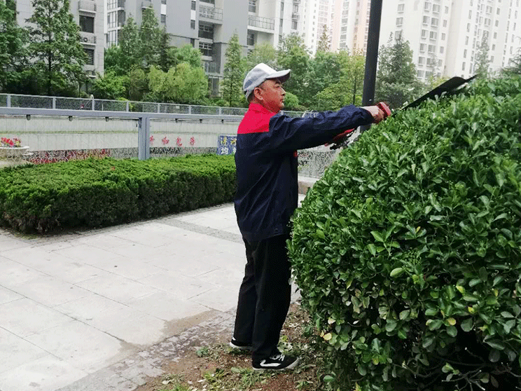 绿植养护案例