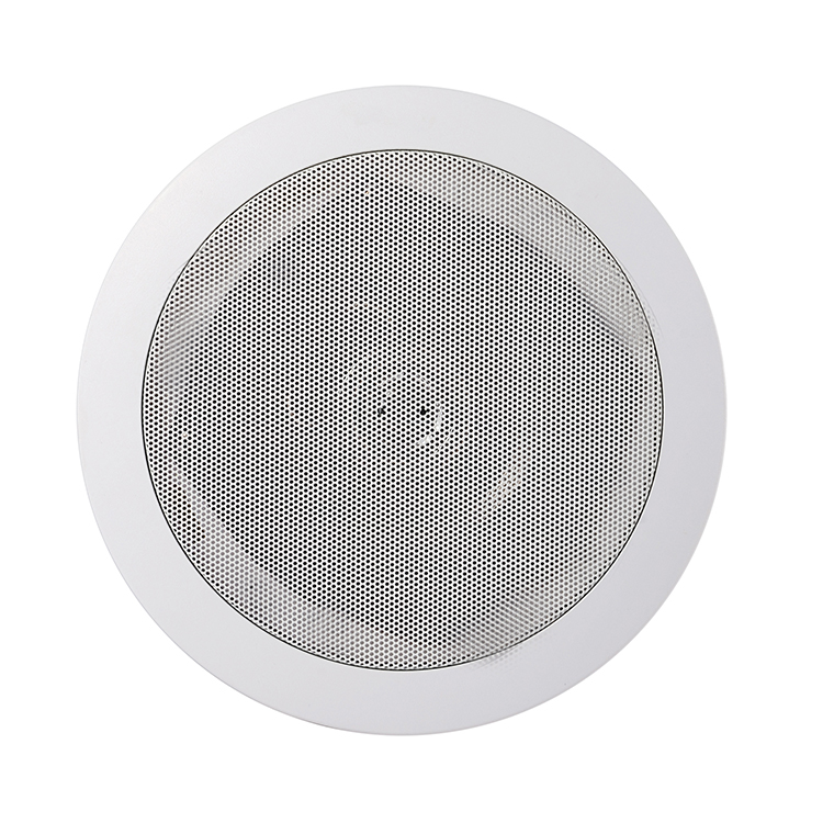Ceiling  speaker