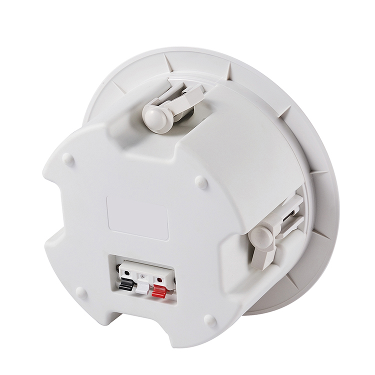 Ceiling  speaker