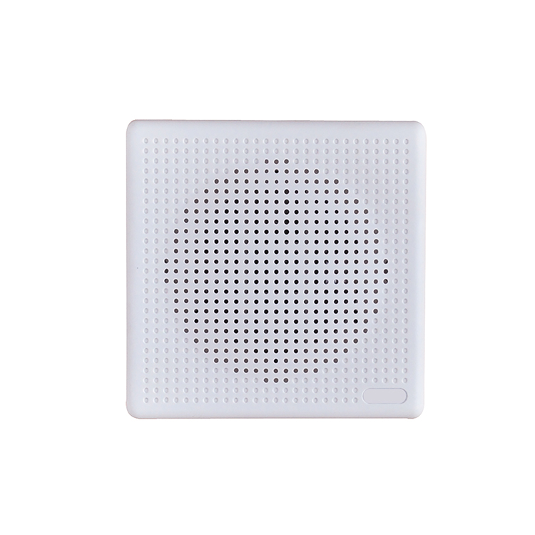 Wall speaker