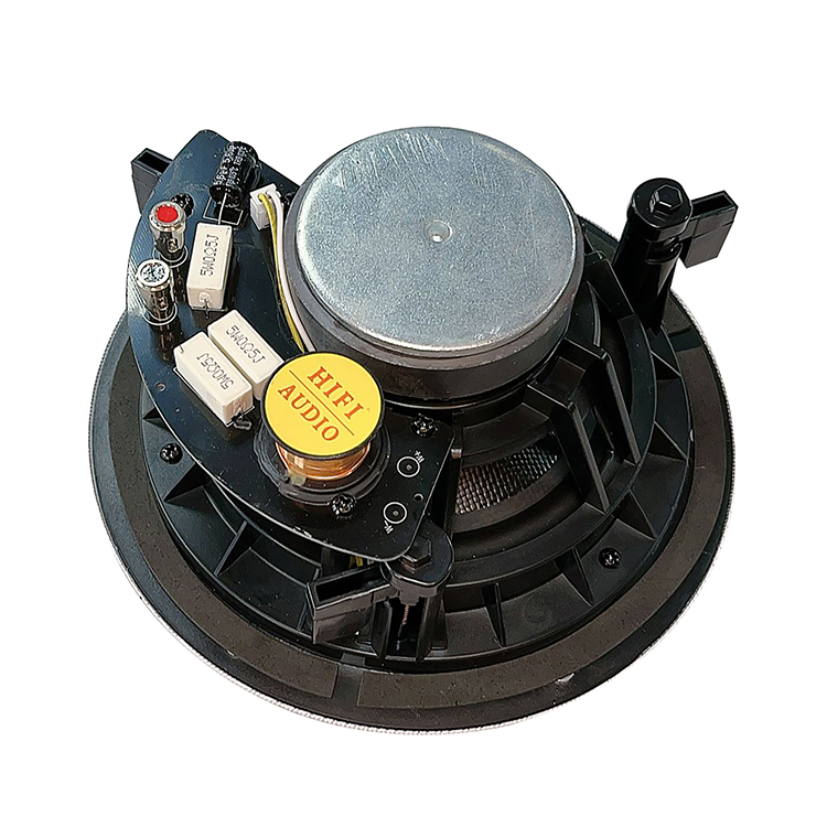 Ceiling  speaker