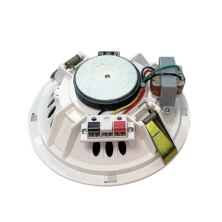 Ceiling  speaker