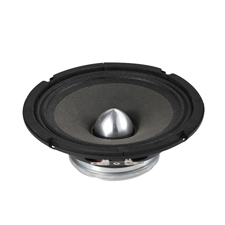 Midrange and low speaker