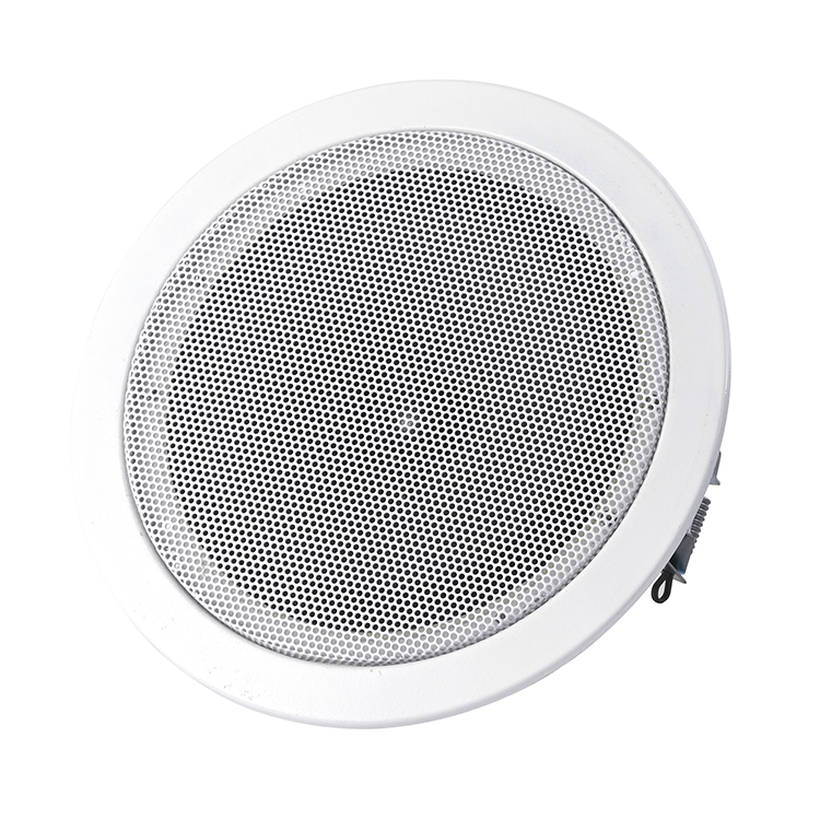 Ceiling  speaker