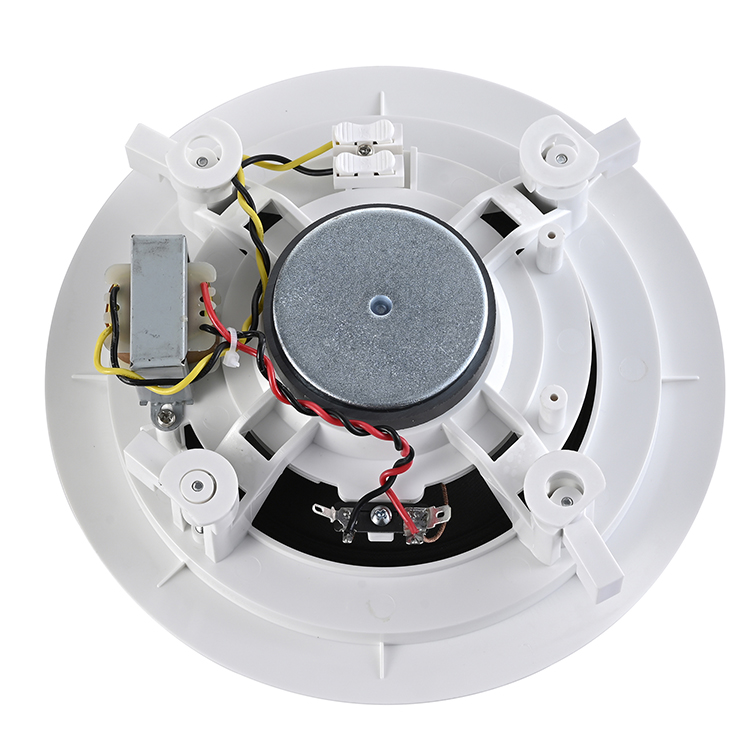 Ceiling  speaker