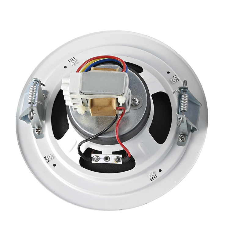 Ceiling  speaker
