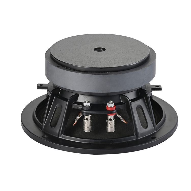 Midrange and low speaker