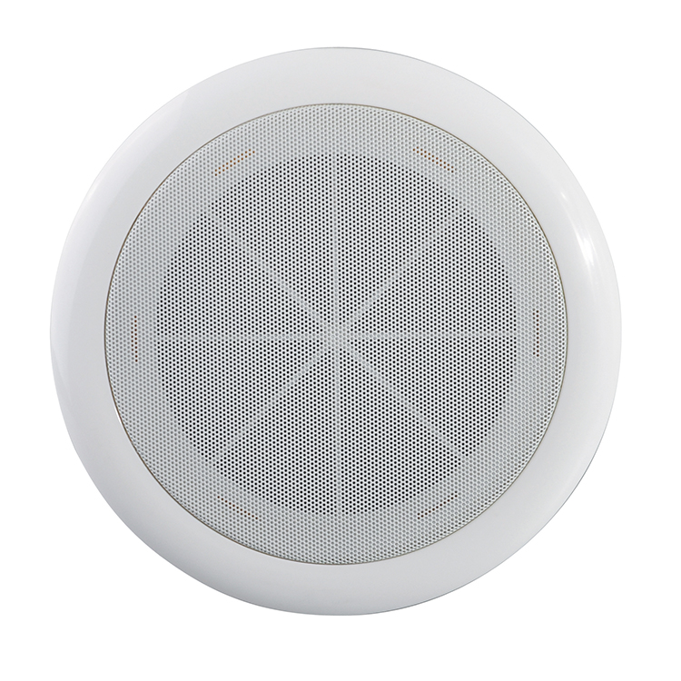 Ceiling  speaker