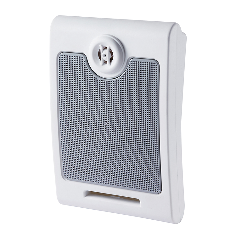 壁挂式扬声器