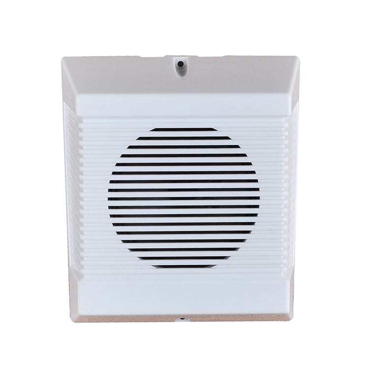 Wall speaker