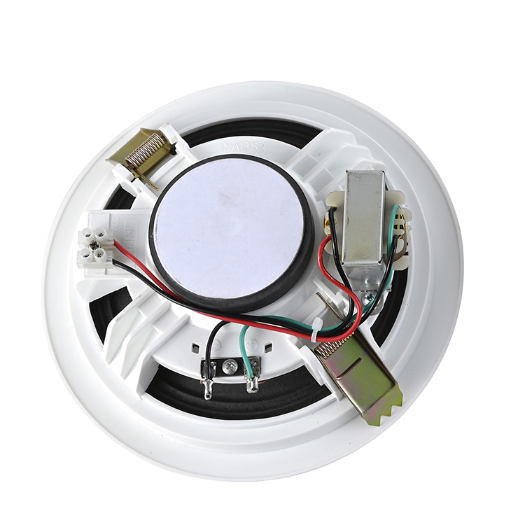 Ceiling  speaker