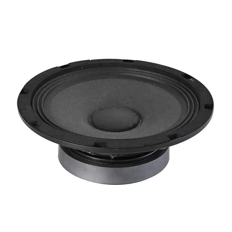 Midrange and low speaker