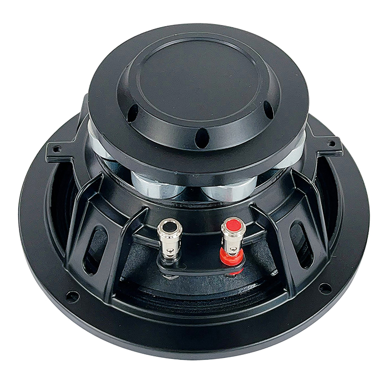 Midrange and low speaker