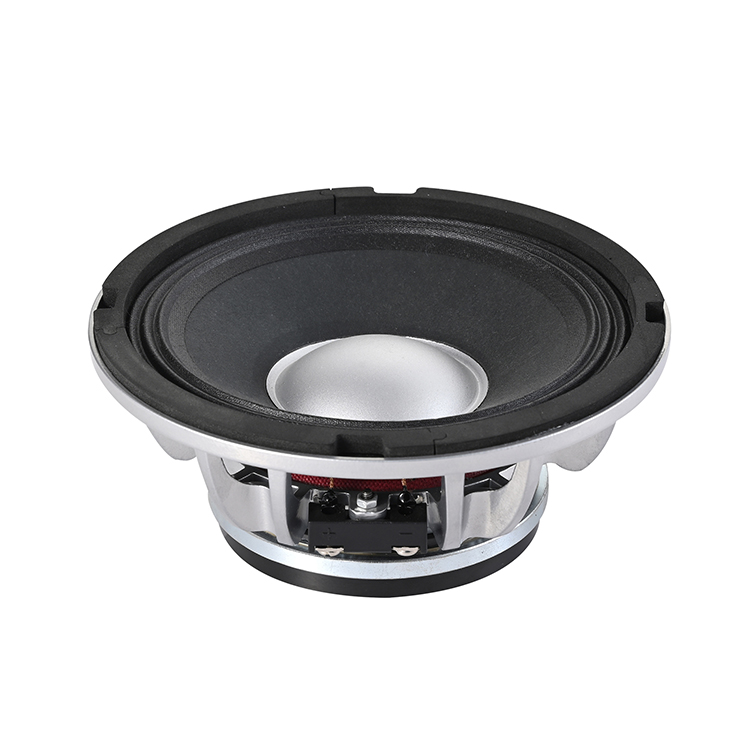 Midrange and low speaker