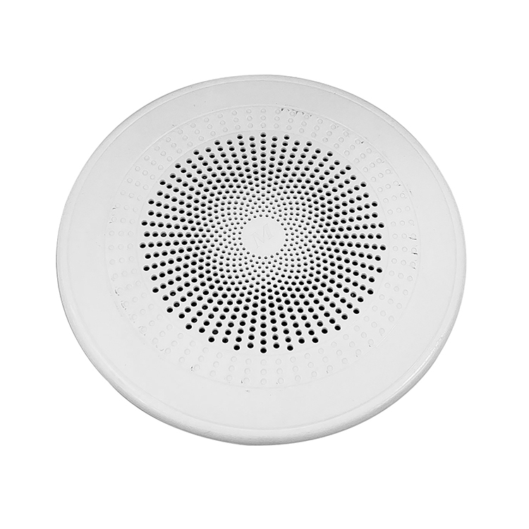 Ceiling  speaker