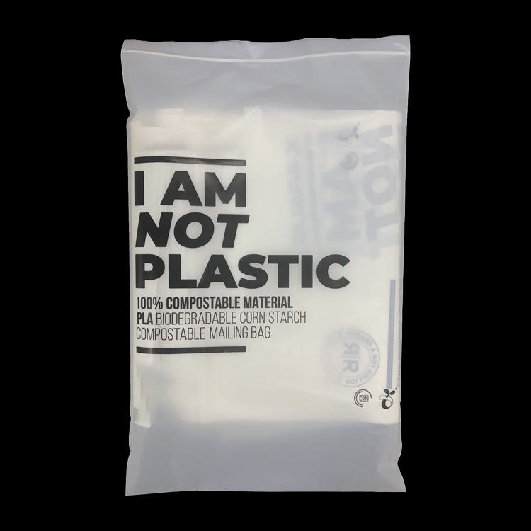 个性化磨砂拉链服装包装袋Custom Matte Zipper Plastic Clothing Packaging Bags