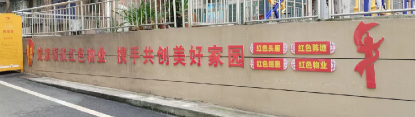 图片5
