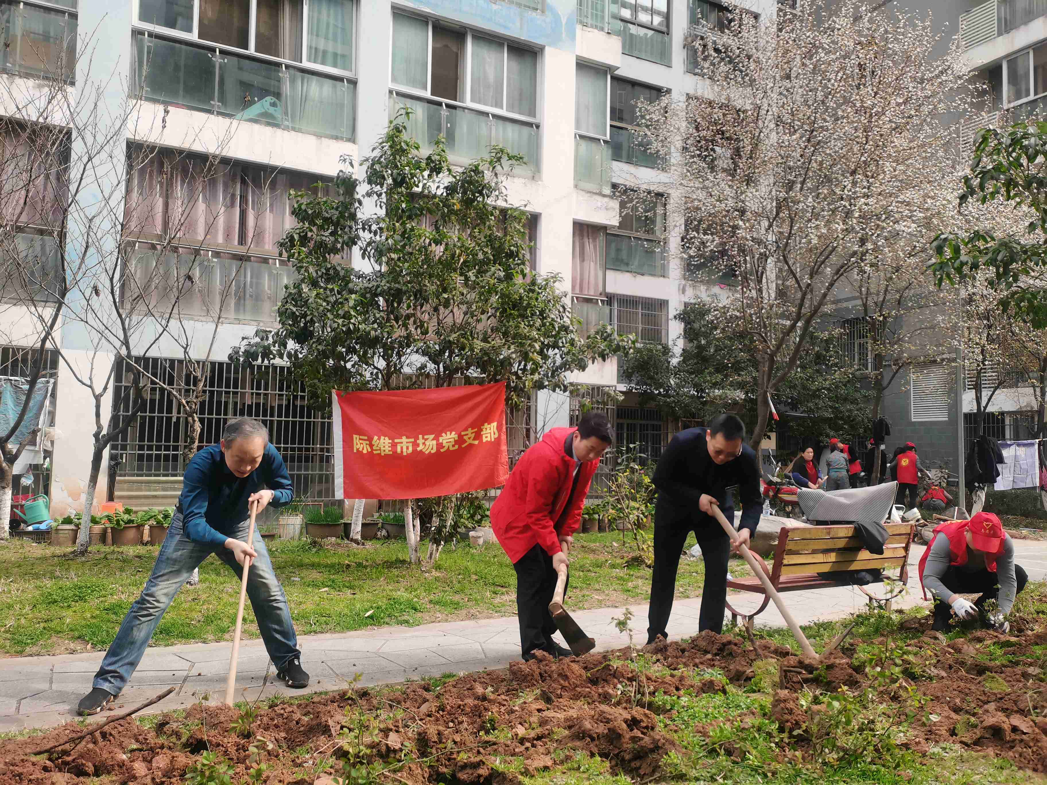微信图片_20240312142216