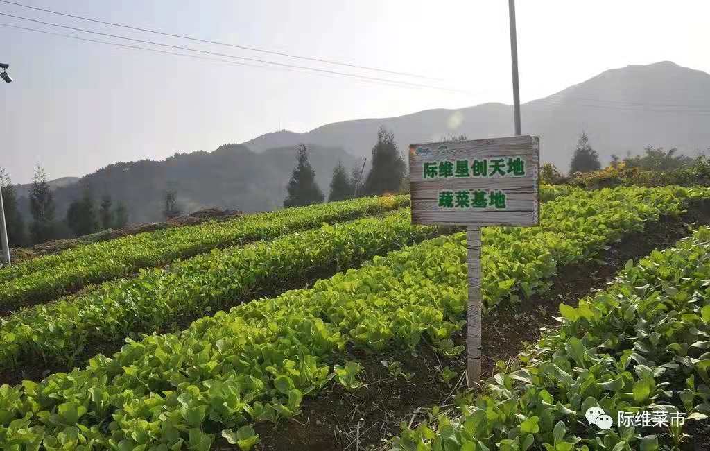 图11