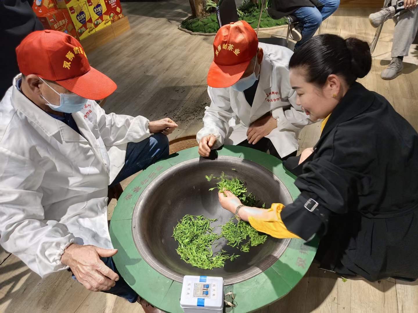 20230415  春茶品鉴会 (3)