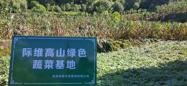 图片7