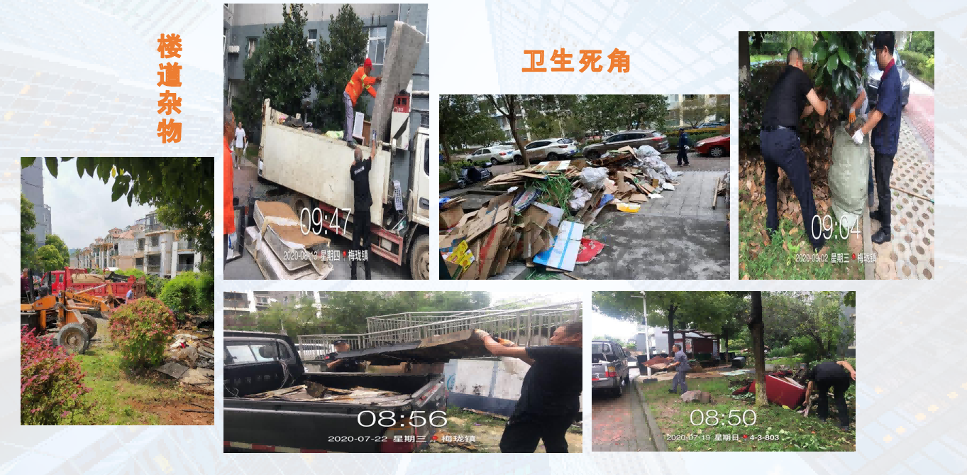 微信图片_20230615082413