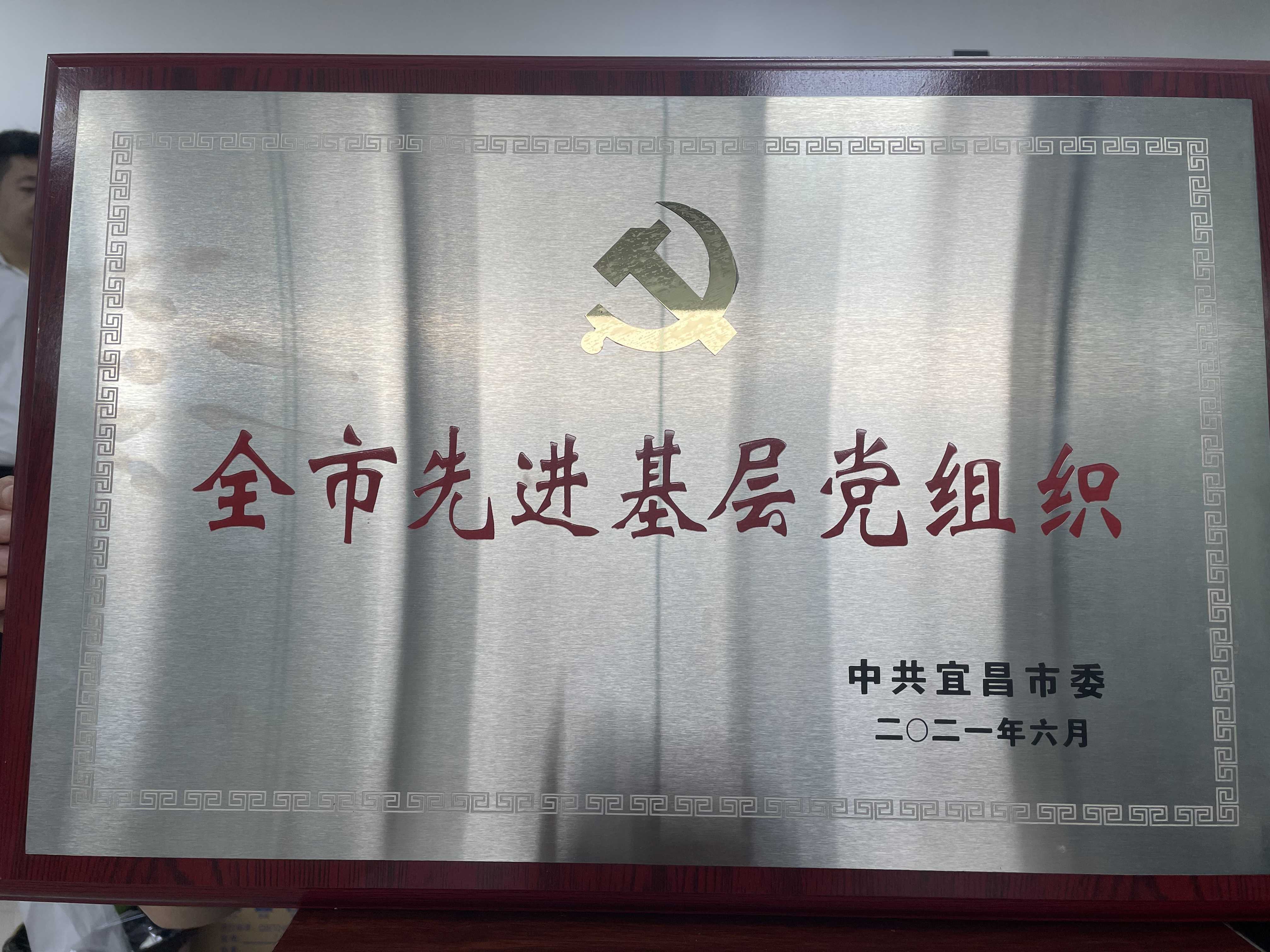 2021年6月  全市先进基层党组织