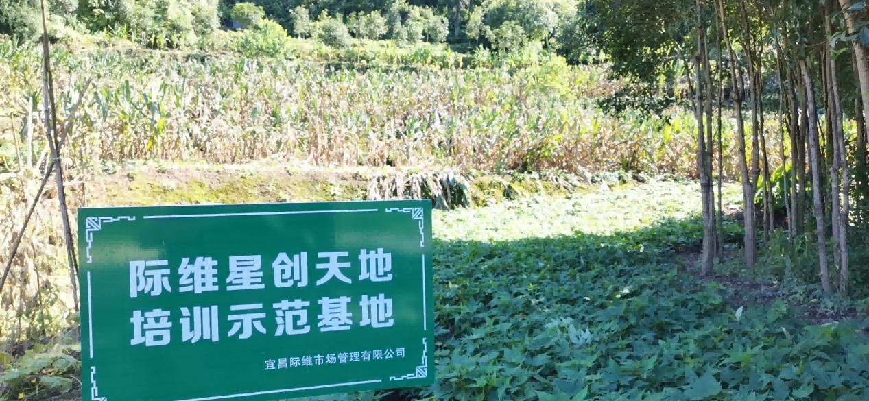图片6