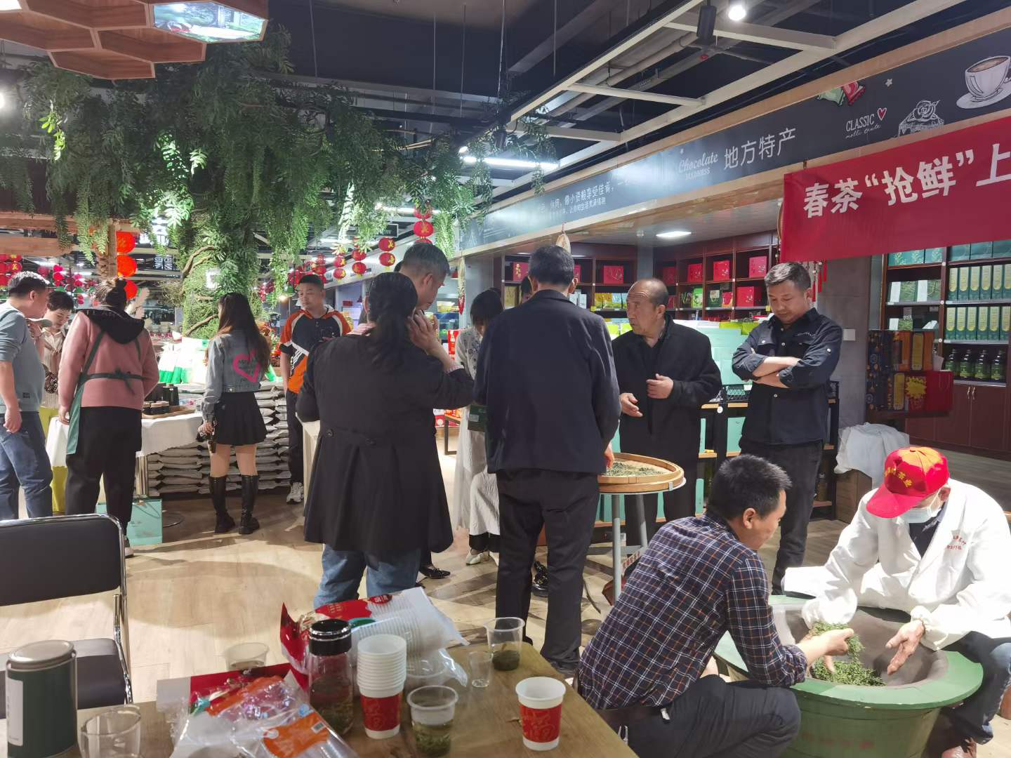 20230415  春茶品鉴会 (5)