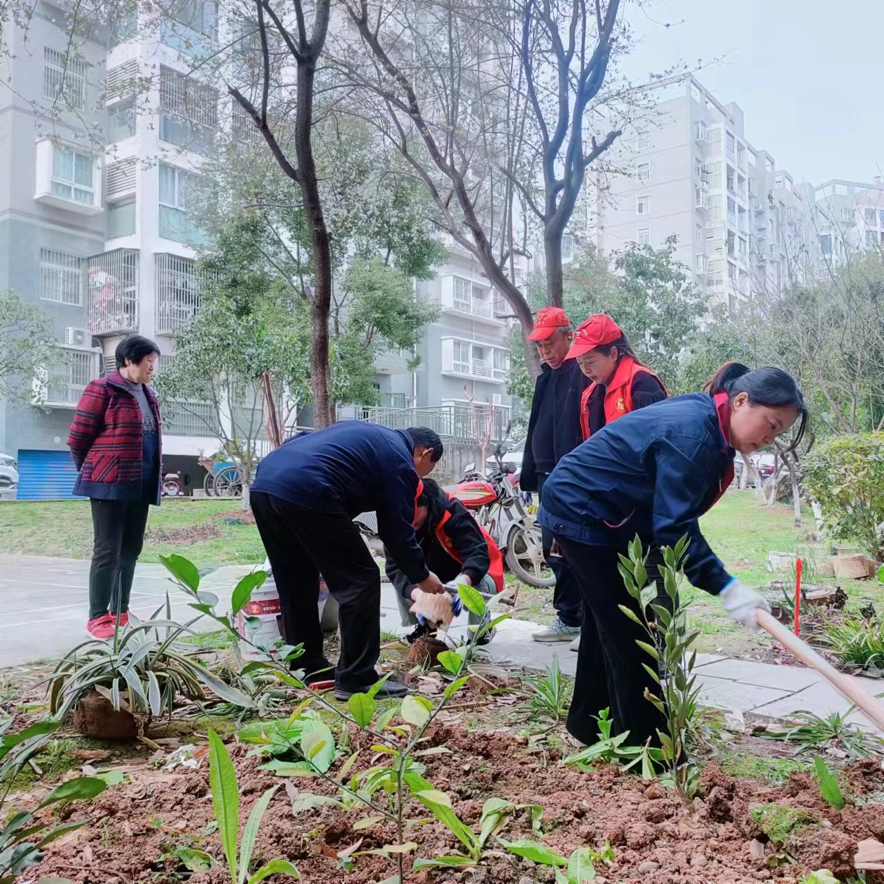 微信图片_20240312142222