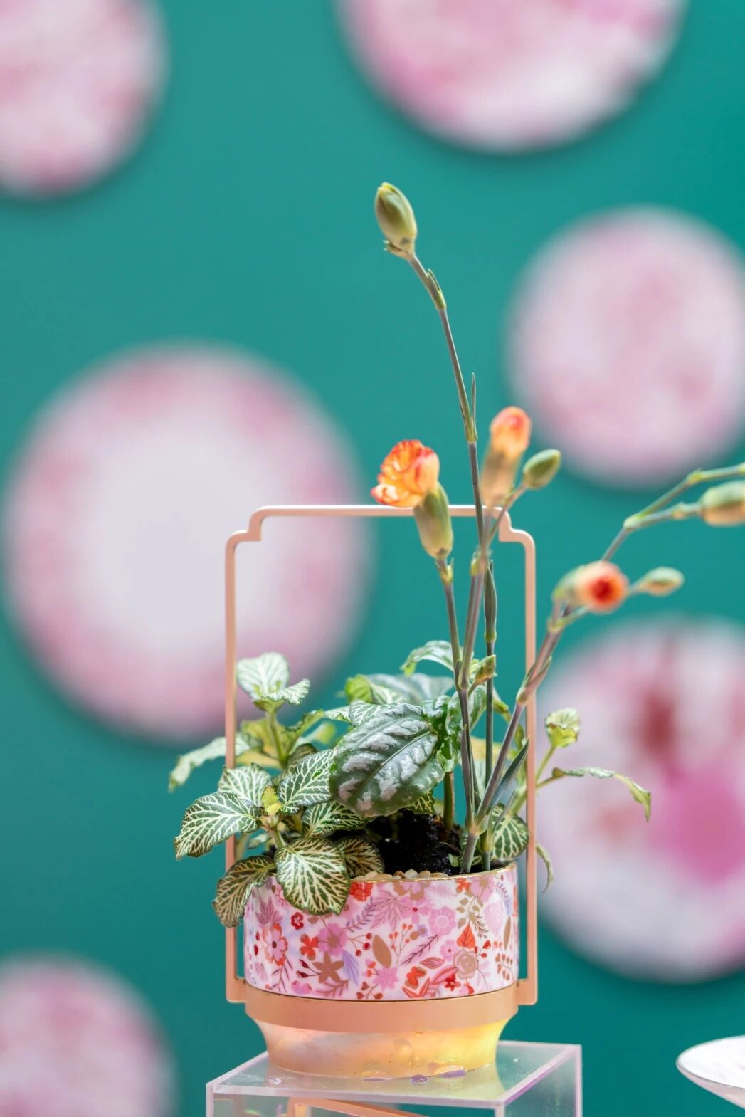 微信图片_2025-11-01_110745_368