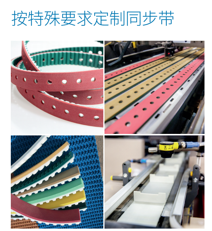 微信图片_2026-01-07_101104_593