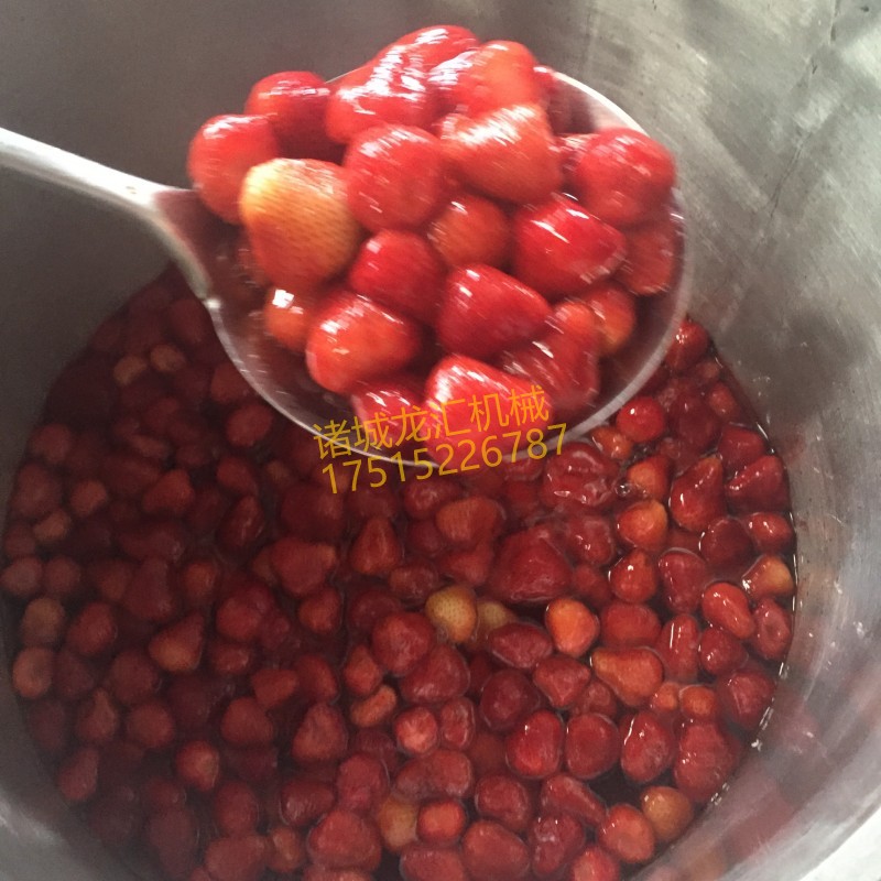 果脯蜜饯泡糖机  真空浓缩负压渗糖锅 话梅李子蜜饯锅