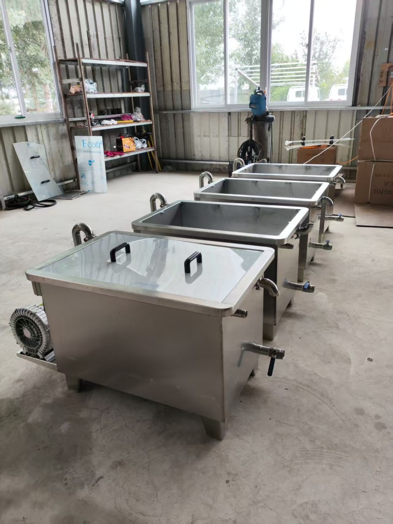 清洗机 小型清洗设备 果蔬清洗机